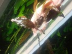 20150525_202055.jpg