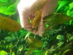 20150525_202123.jpg