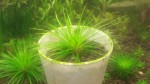 20150528_184054.jpg