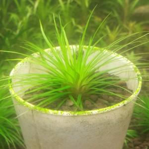 20150528_184054.jpg
