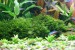 DSC05304.JPG