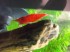 DSCF9793.JPG