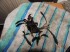 DSCN2465.JPG