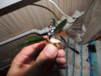 DSCN2469.JPG