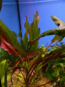 DSCN5094.JPG