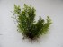 DSCN6727.JPG
