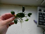 DSCN6744.JPG