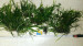 IMAG0255.jpg