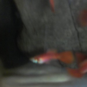 IMAG3123.jpg