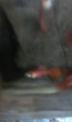 IMAG3123.jpg