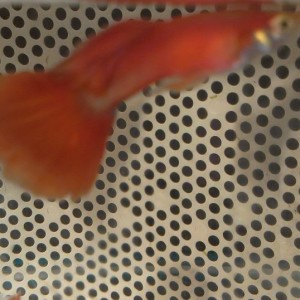IMAG3166.jpg