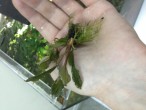 IMG_1281.JPG