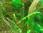 WP_002473.jpg