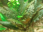 WP_002476.jpg