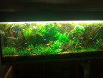 WP_002478.jpg
