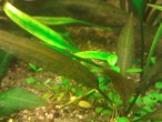 WP_002483.jpg
