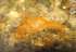 copy_352_copy_687_copy_175_copy_322_copy_865_copy_576_copy_967_IMG_2446.gif