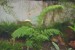 copy_36_DSC_0050.jpg