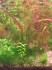copy_562_CIMG8352.jpg