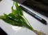 copy_64_112.jpg