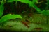 copy_760_copy_224_DSC_0033.jpg
