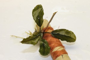 Изображение 2829.jpg