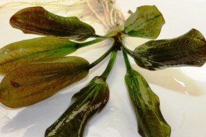 Изображение 2902.jpg