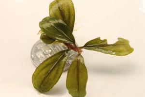 Изображение 2917.jpg