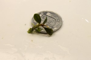 Изображение 2928.jpg