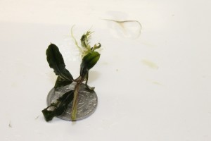 Изображение 2943.jpg