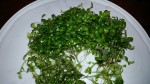 20150516_213204.jpg