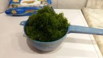 20150616_174854.jpg