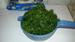 20150616_174913.jpg