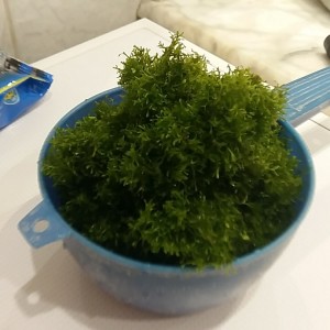 20150616_174927.jpg