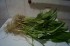 DSC04465.JPG
