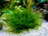 DSCF2413.jpg