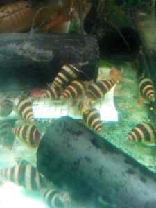 IMG_20150601_201137.jpg