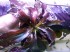 IMG_20150613_170751.jpg