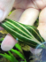 IMG_2580.png