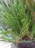 copy_114_20150527_152139.jpg