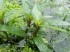 copy_231_20150529_123157.jpg