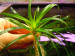 copy_403_copy_389_copy_640_copy_673_DSCN3045.jpg