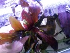 copy_453_IMG_20150613_170804.jpg