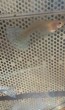 copy_617_IMAG3177.jpg