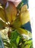 copy_647_IMG_20150613_170616.jpg