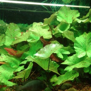 2015-05-17 19.31.10.jpg