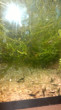 2015-06-21-1067.jpg