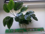 2015-07-23 12-20-32.JPG