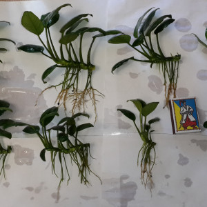 20150716_174437.jpg