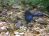 DSCF0508.JPG